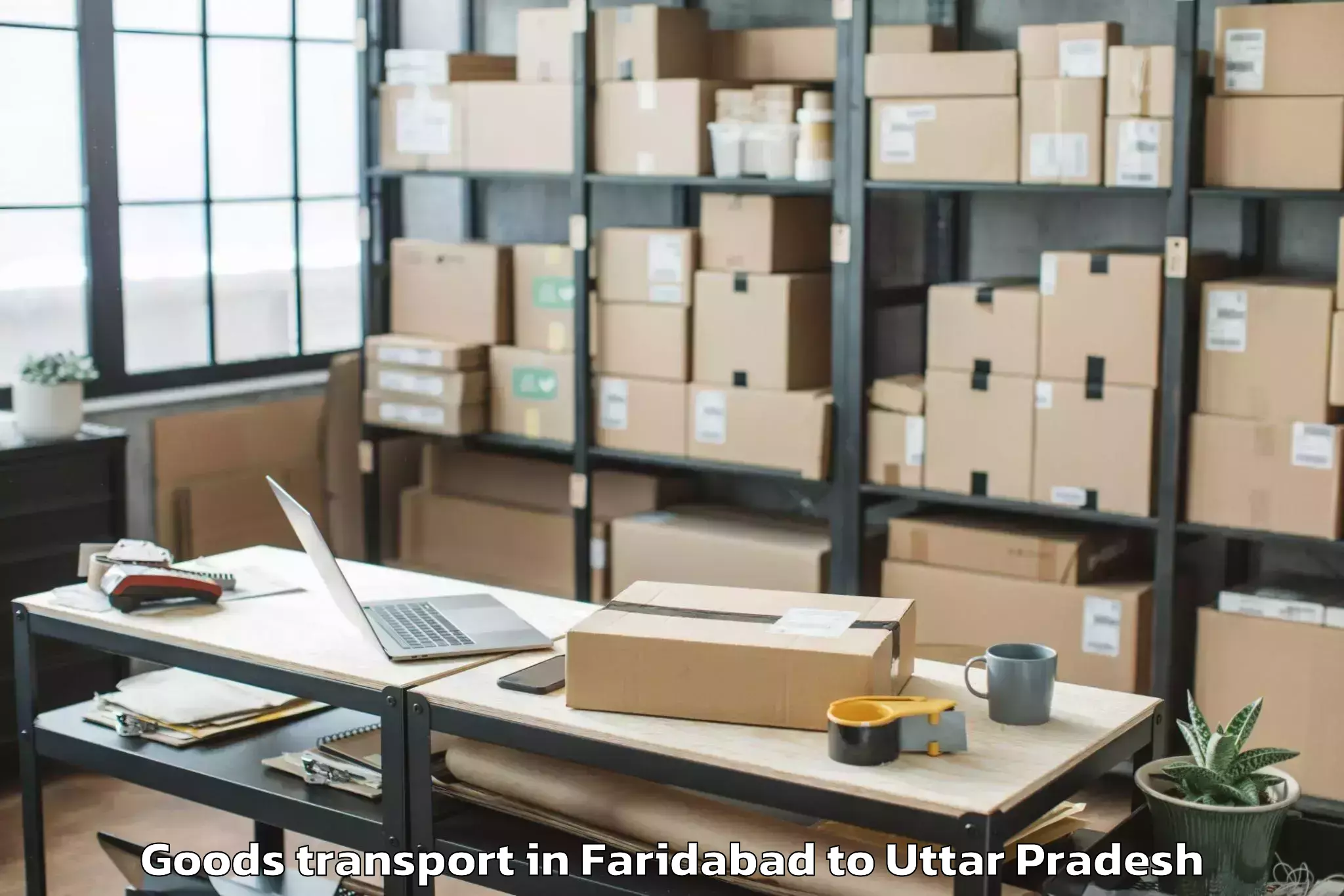 Faridabad to Nighasan Goods Transport Booking